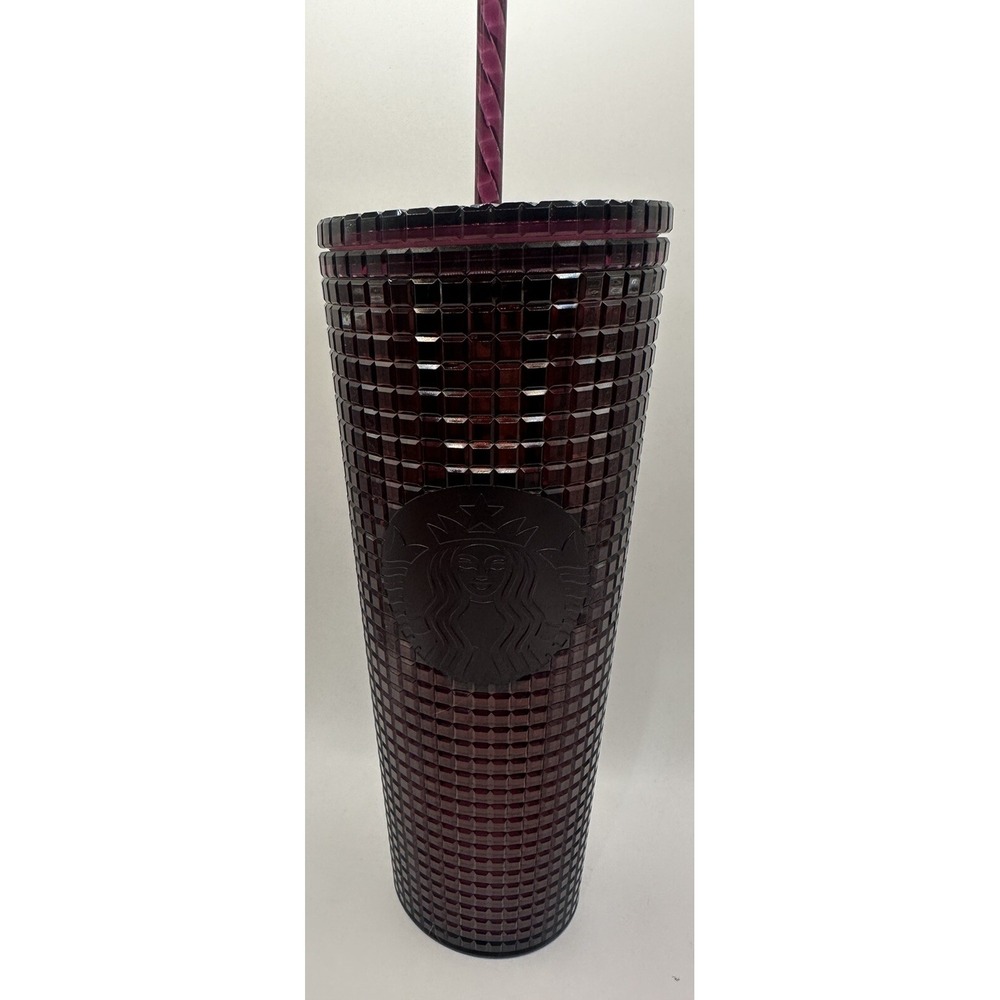 Starbucks Christmas Holiday Berry Plum Grid Disco 2020 Tumbler w/ Straw
